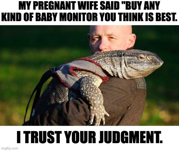 Monitor Lizard |  MY PREGNANT WIFE SAID "BUY ANY KIND OF BABY MONITOR YOU THINK IS BEST. I TRUST YOUR JUDGMENT. | image tagged in lizard | made w/ Imgflip meme maker