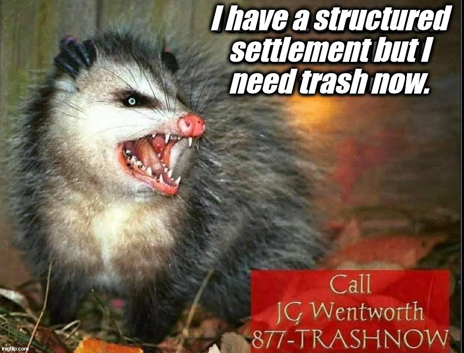 Call now. | image tagged in trash,cash | made w/ Imgflip meme maker