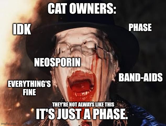 CAT OWNERS:; PHASE; IDK; NEOSPORIN; BAND-AIDS; EVERYTHING'S FINE; THEY'RE NOT ALWAYS LIKE THIS; IT'S JUST A PHASE. | image tagged in cats | made w/ Imgflip meme maker