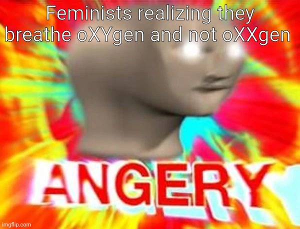 I told this to a feminist and after just rolled her eyes | Feminists realizing they breathe oXYgen and not oXXgen | image tagged in angry meme man,feminists realizing | made w/ Imgflip meme maker