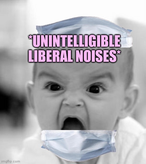 Angry Baby Meme | *UNINTELLIGIBLE LIBERAL NOISES* | image tagged in memes,angry baby | made w/ Imgflip meme maker