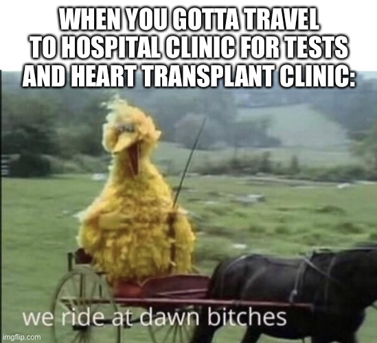 Heart transplant life | WHEN YOU GOTTA TRAVEL TO HOSPITAL CLINIC FOR TESTS AND HEART TRANSPLANT CLINIC: | image tagged in we ride at dawn bitches,life,thug life,heart,transplant,hospital | made w/ Imgflip meme maker