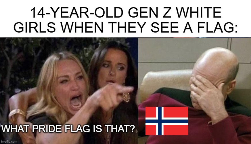 woman yelling at cat | 14-YEAR-OLD GEN Z WHITE GIRLS WHEN THEY SEE A FLAG:; WHAT PRIDE FLAG IS THAT? | image tagged in woman yelling at cat,memes | made w/ Imgflip meme maker