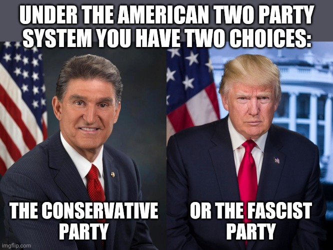 UNDER THE AMERICAN TWO PARTY
SYSTEM YOU HAVE TWO CHOICES:; THE CONSERVATIVE
PARTY; OR THE FASCIST
PARTY | image tagged in sen joe manchin,president trump official portrait | made w/ Imgflip meme maker