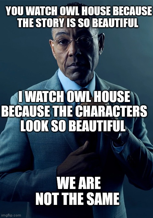 Zamn | YOU WATCH OWL HOUSE BECAUSE THE STORY IS SO BEAUTIFUL; I WATCH OWL HOUSE BECAUSE THE CHARACTERS LOOK SO BEAUTIFUL; WE ARE NOT THE SAME | image tagged in we are not the same | made w/ Imgflip meme maker