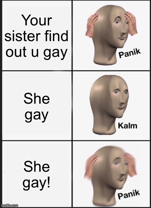 Last panik is a happy panik. I'M PANIKING BEUASE SHE GAAAY! YAY | Your sister find out u gay; She gay; She gay! | image tagged in memes,panik kalm panik | made w/ Imgflip meme maker