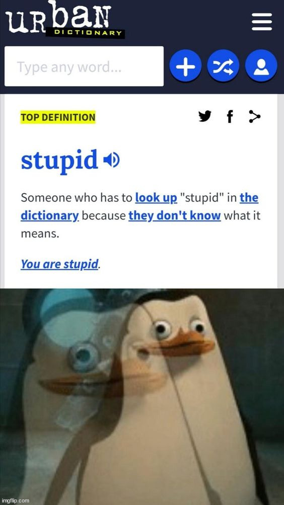 what.... | image tagged in memes,funny,lmao,stupid | made w/ Imgflip meme maker