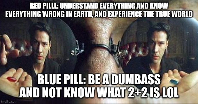 stupid, or smart | RED PILLL: UNDERSTAND EVERYTHING AND KNOW EVERYTHING WRONG IN EARTH, AND EXPERIENCE THE TRUE WORLD; BLUE PILL: BE A DUMBASS AND NOT KNOW WHAT 2+2 IS LOL | image tagged in morpheus red pill or blue pill | made w/ Imgflip meme maker