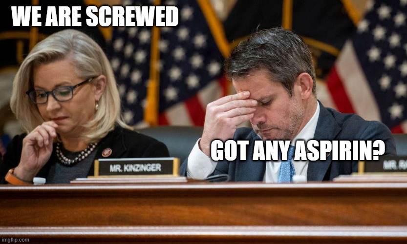 RINOrats | WE ARE SCREWED; GOT ANY ASPIRIN? | made w/ Imgflip meme maker