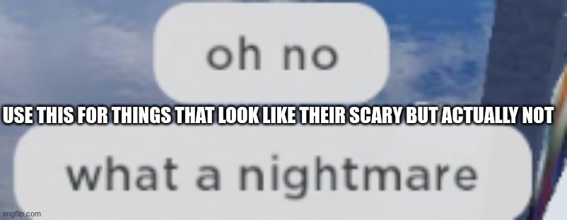 yuh | USE THIS FOR THINGS THAT LOOK LIKE THEIR SCARY BUT ACTUALLY NOT | image tagged in oh no what a nightmare | made w/ Imgflip meme maker