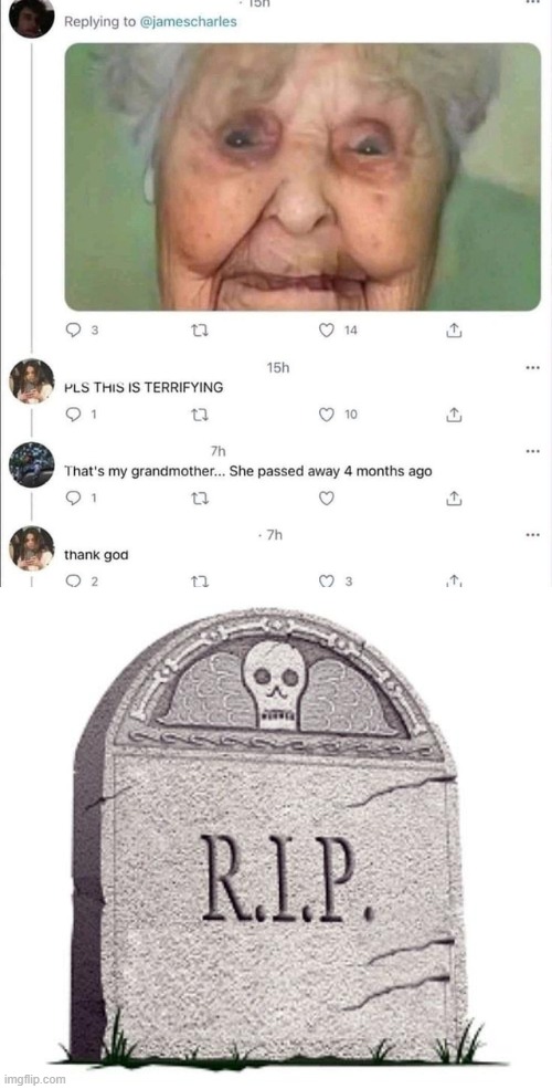 oof | image tagged in rip,memes | made w/ Imgflip meme maker