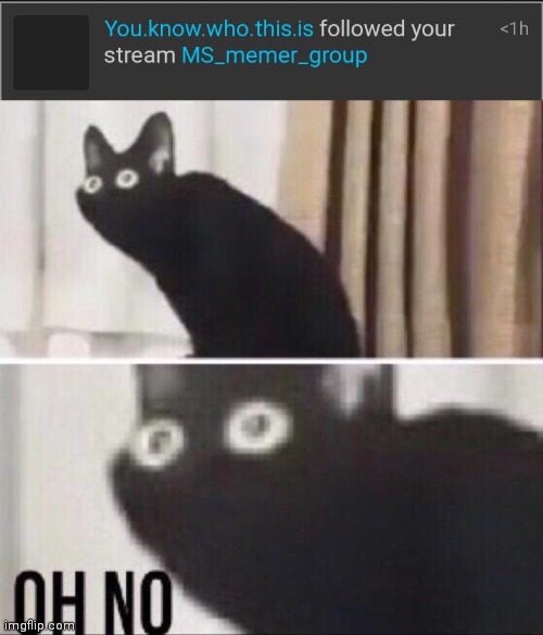 image tagged in oh no cat | made w/ Imgflip meme maker