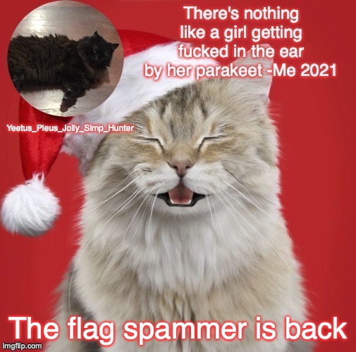 Christmas Template | The flag spammer is back | image tagged in christmas template | made w/ Imgflip meme maker