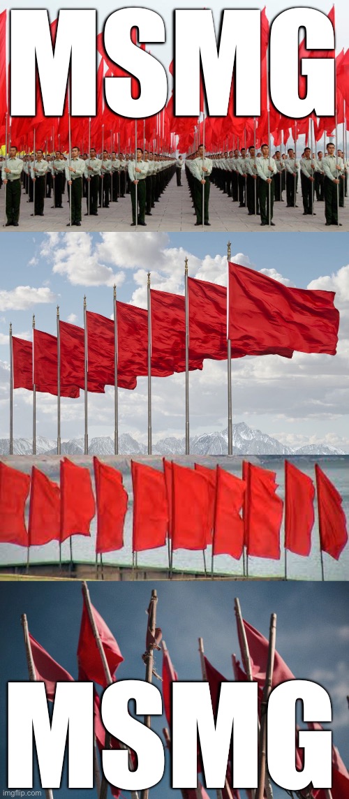 flags | MSMG; MSMG | made w/ Imgflip meme maker