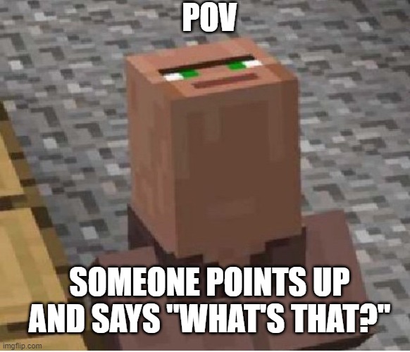 Minecraft Villager Looking Up | POV; SOMEONE POINTS UP AND SAYS "WHAT'S THAT?" | image tagged in minecraft villager looking up | made w/ Imgflip meme maker