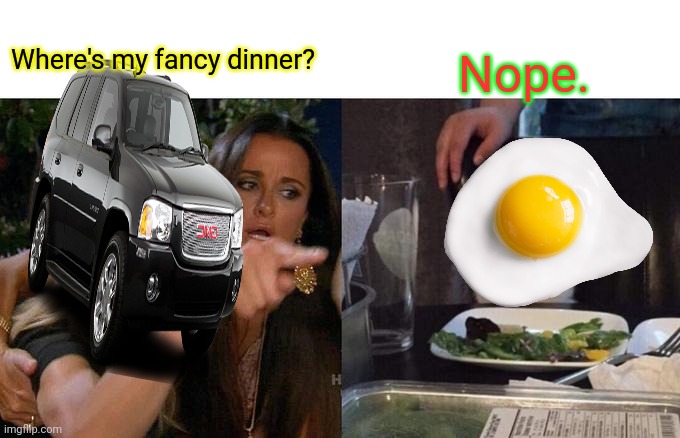 Woman Yelling At Cat Meme | Where's my fancy dinner? Nope. | image tagged in memes,woman yelling at cat | made w/ Imgflip meme maker