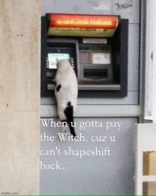 WHEN U GOTTA PAY THE WITCH CUZ YOU CANT SHAPESHIFT BACK | made w/ Imgflip meme maker