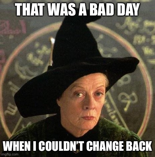 THAT WAS A BAD DAY WHEN I COULDN’T CHANGE BACK | made w/ Imgflip meme maker