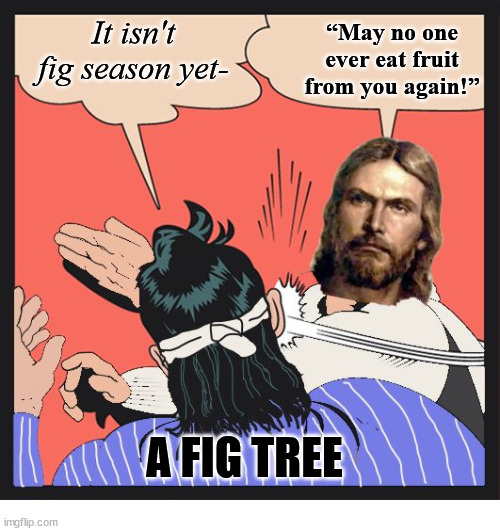 “May no one ever eat fruit from you again!”; It isn't fig season yet-; A FIG TREE | image tagged in jesus slapping disciple,dank,christian,memes,r/dankchristianmemes | made w/ Imgflip meme maker