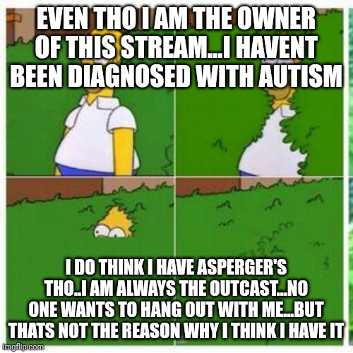 Please dont judge me...i just wanna talk to someone else who feels the same way i do | EVEN THO I AM THE OWNER OF THIS STREAM...I HAVENT BEEN DIAGNOSED WITH AUTISM; I DO THINK I HAVE ASPERGER'S THO..I AM ALWAYS THE OUTCAST...NO ONE WANTS TO HANG OUT WITH ME...BUT THATS NOT THE REASON WHY I THINK I HAVE IT | image tagged in homer hides | made w/ Imgflip meme maker