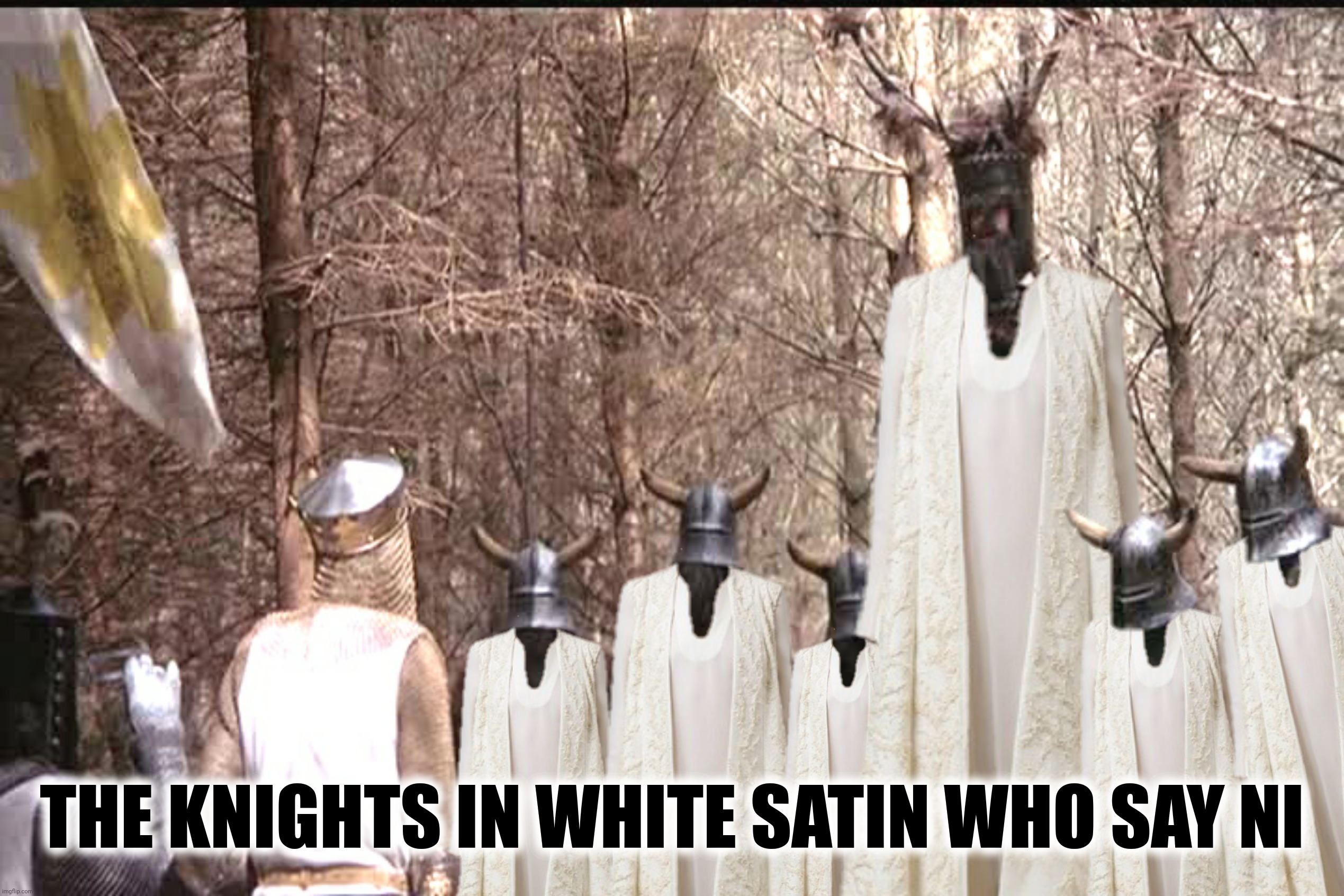 THE KNIGHTS IN WHITE SATIN WHO SAY NI | made w/ Imgflip meme maker