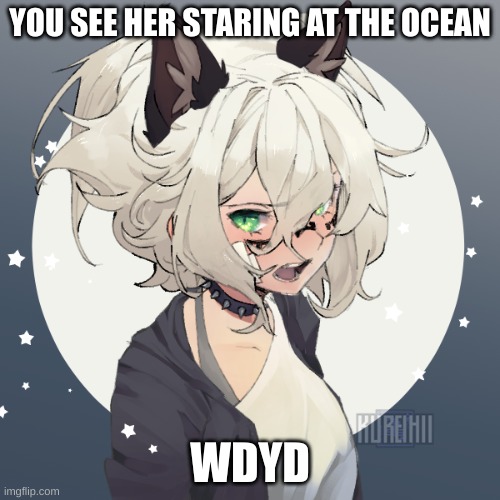her name is Princess Lake | YOU SEE HER STARING AT THE OCEAN; WDYD | made w/ Imgflip meme maker