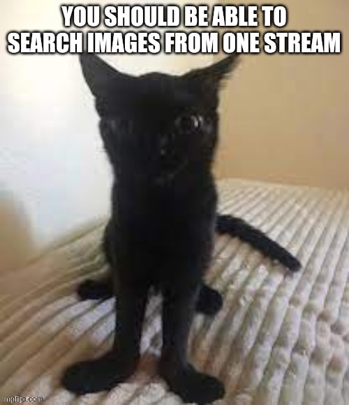 Gotcha | YOU SHOULD BE ABLE TO SEARCH IMAGES FROM ONE STREAM | image tagged in the man | made w/ Imgflip meme maker