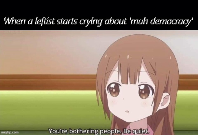 When a leftist starts crying about 'muh democracy' | made w/ Imgflip meme maker