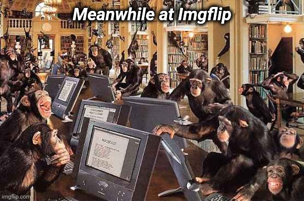 Imgflip jail again ? | Meanwhile at Imgflip | image tagged in monkeys on computers,imgflip mods,dumb and dumber,biased media,whisper sloth | made w/ Imgflip meme maker