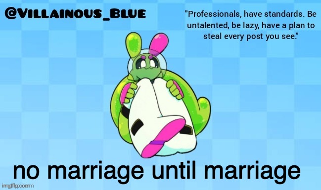 no marriage until marriage | image tagged in vb | made w/ Imgflip meme maker