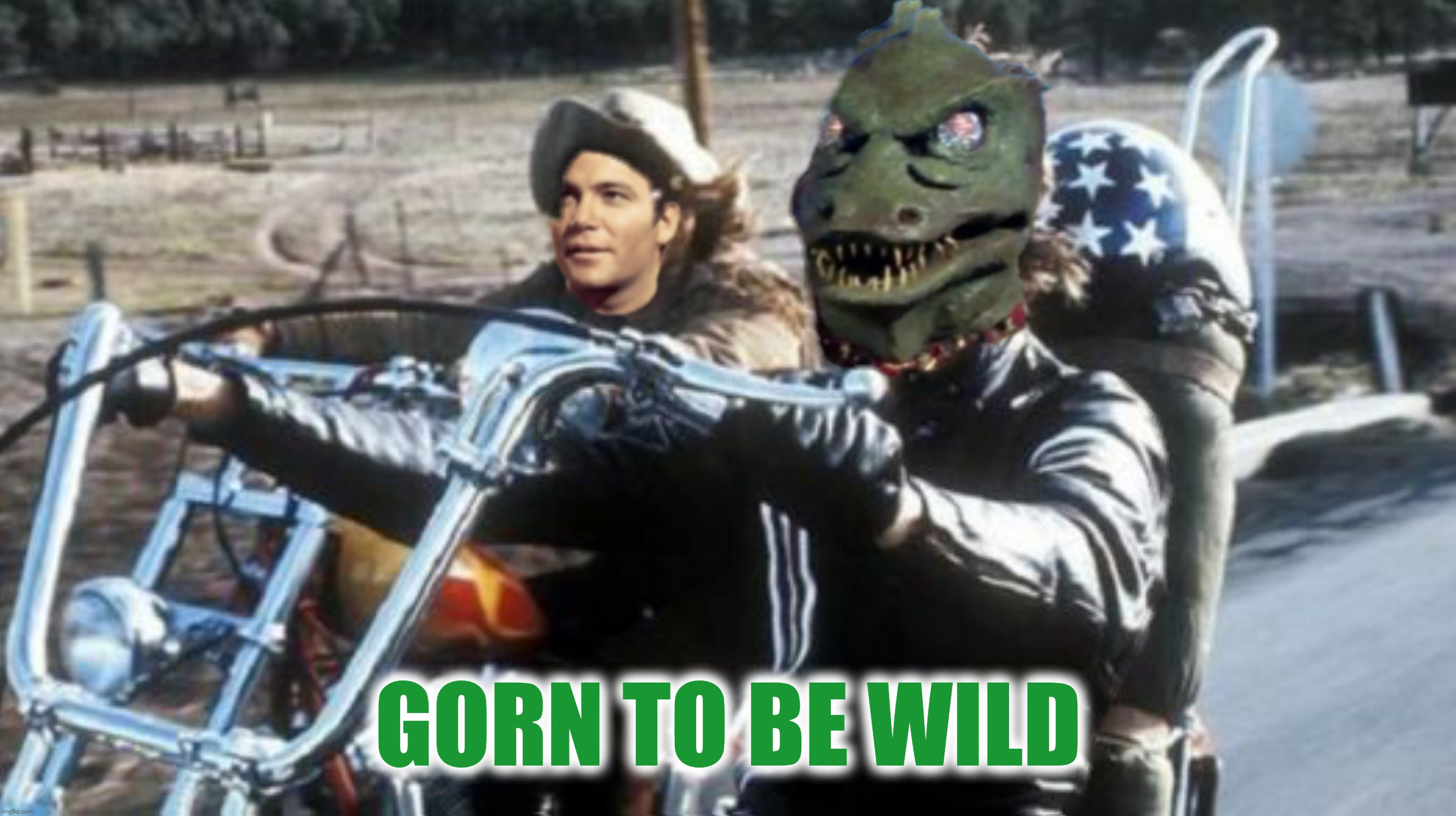 Bad Photoshop Sunday presents:  Lizzy Rider |  GORN TO BE WILD | image tagged in bad photoshop sunday,gorn,captain kirk,easy rider,born to be wild | made w/ Imgflip meme maker