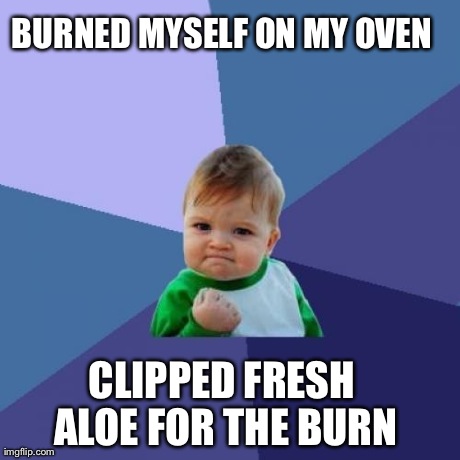 Success Kid Meme | BURNED MYSELF ON MY OVEN CLIPPED FRESH ALOE FOR THE BURN | image tagged in memes,success kid | made w/ Imgflip meme maker
