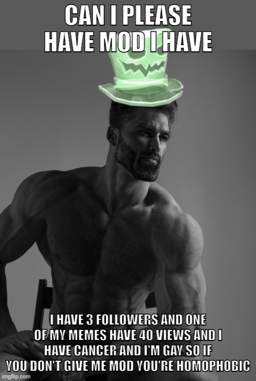 can I? Please, my dad beats my every day and mod would make him stop, he said it himself. | CAN I PLEASE HAVE MOD I HAVE; I HAVE 3 FOLLOWERS AND ONE OF MY MEMES HAVE 40 VIEWS AND I HAVE CANCER AND I'M GAY SO IF YOU DON'T GIVE ME MOD YOU'RE HOMOPHOBIC | image tagged in why yes scary hat is my best friend | made w/ Imgflip meme maker