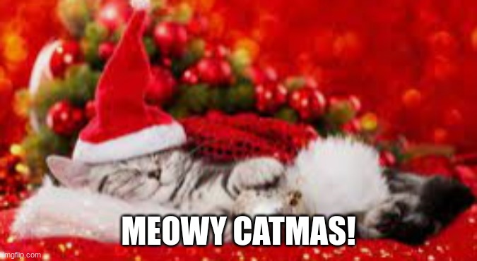 MEOWY CATMAS! | image tagged in cuute | made w/ Imgflip meme maker