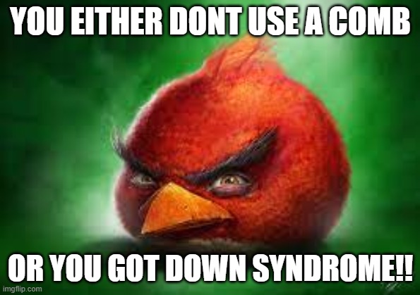YOU EITHER DONT USE A COMB; OR YOU GOT DOWN SYNDROME!! | image tagged in AngryBirdsMemes | made w/ Imgflip meme maker