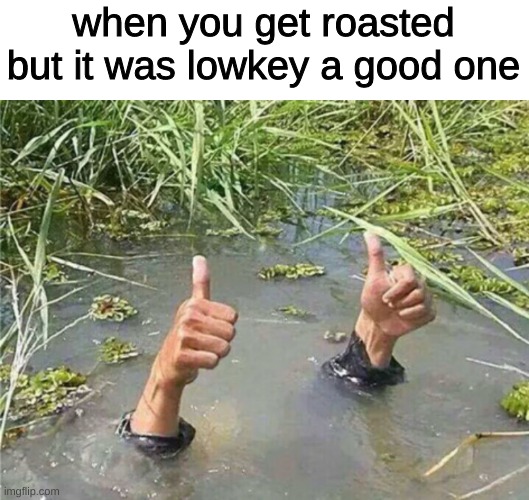 oooooooooof | when you get roasted but it was lowkey a good one | image tagged in drowning thumbs up,roasted,memes,funny,funny memes | made w/ Imgflip meme maker