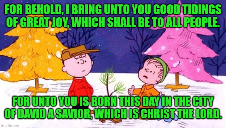 Charlie Brown Christmas Tree | FOR BEHOLD, I BRING UNTO YOU GOOD TIDINGS OF GREAT JOY, WHICH SHALL BE TO ALL PEOPLE. FOR UNTO YOU IS BORN THIS DAY IN THE CITY OF DAVID A S | image tagged in charlie brown christmas tree | made w/ Imgflip meme maker