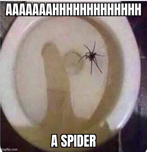 aaaah | made w/ Imgflip meme maker