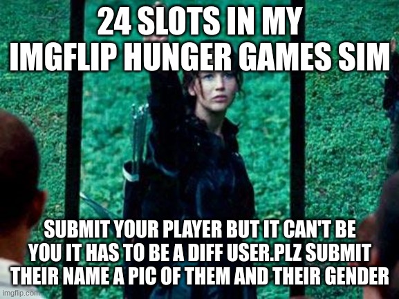 Hunger Games 2 | 24 SLOTS IN MY IMGFLIP HUNGER GAMES SIM; SUBMIT YOUR PLAYER BUT IT CAN'T BE YOU IT HAS TO BE A DIFF USER.PLZ SUBMIT THEIR NAME A PIC OF THEM AND THEIR GENDER | image tagged in hunger games 2 | made w/ Imgflip meme maker
