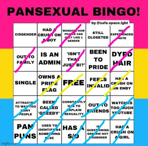 Pansexual Bingo | image tagged in pansexual bingo | made w/ Imgflip meme maker