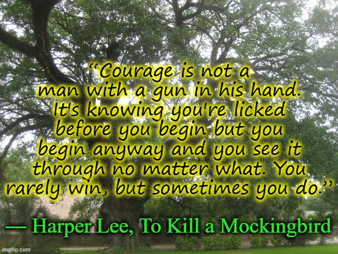 “Courage is not a man with a gun in his hand. It's knowing you're licked before you begin but you begin anyway and you see it through no matter what. You rarely win, but sometimes you do.”; ― Harper Lee, To Kill a Mockingbird | image tagged in to kill a mockingbird,southern,gothic,literature | made w/ Imgflip meme maker