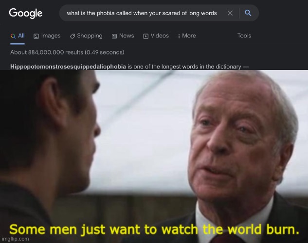 *intense screaming* | image tagged in some men just want to watch the world burn,memes,funny,phobia,words,google search | made w/ Imgflip meme maker