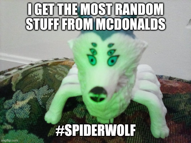 Why couldn't be a spider cat? | I GET THE MOST RANDOM STUFF FROM MCDONALDS; #SPIDERWOLF | image tagged in cats | made w/ Imgflip meme maker