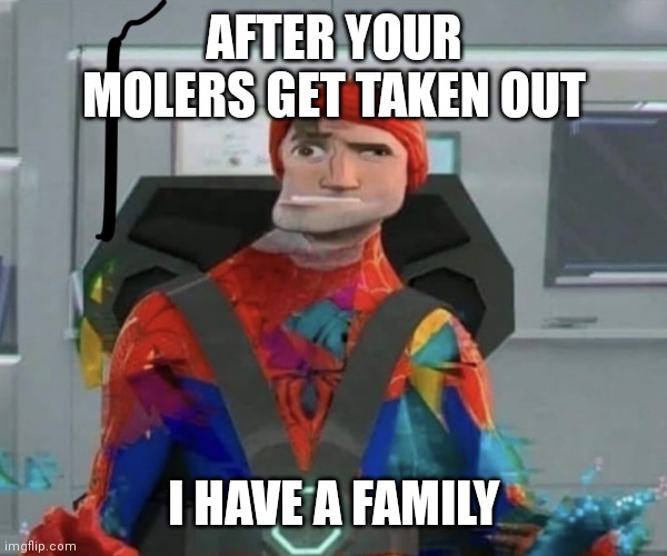 Spiderman Spider Verse Glitchy Peter | AFTER YOUR MOLERS GET TAKEN OUT; I HAVE A FAMILY | image tagged in spiderman spider verse glitchy peter | made w/ Imgflip meme maker