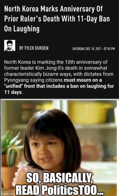 il-advised | SO, BASICALLY, READ PoliticsTOO... | image tagged in why not both,north korea,politics lol,memes | made w/ Imgflip meme maker