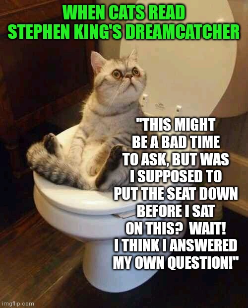 Cats get over excited with King novels... | WHEN CATS READ STEPHEN KING'S DREAMCATCHER; "THIS MIGHT BE A BAD TIME TO ASK, BUT WAS I SUPPOSED TO PUT THE SEAT DOWN BEFORE I SAT ON THIS?  WAIT! I THINK I ANSWERED MY OWN QUESTION!" | image tagged in toilet cat,stephen king,horror movie | made w/ Imgflip meme maker