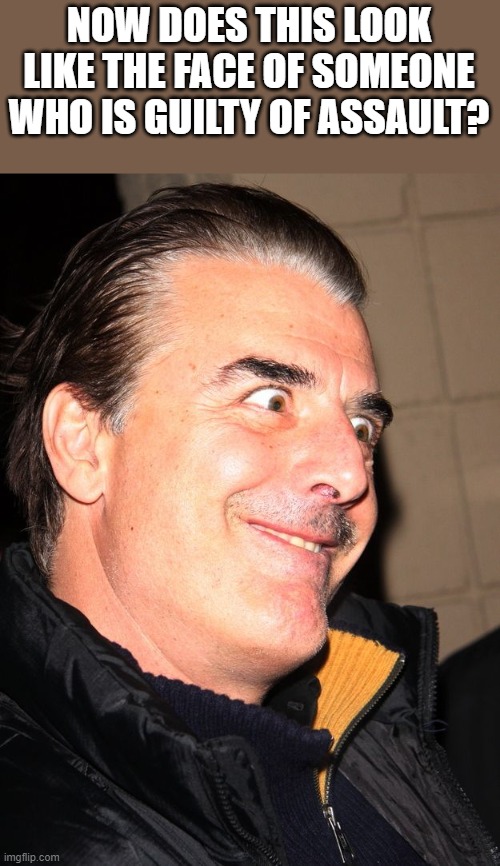 Chris Noth Guilty Of Assault? | NOW DOES THIS LOOK LIKE THE FACE OF SOMEONE WHO IS GUILTY OF ASSAULT? | image tagged in chris noth,assault,sexual assault,funny,memes,funny memes | made w/ Imgflip meme maker