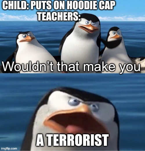 Wouldn’t that make you | CHILD: PUTS ON HOODIE CAP
TEACHERS:; A TERRORIST | image tagged in wouldn t that make you | made w/ Imgflip meme maker