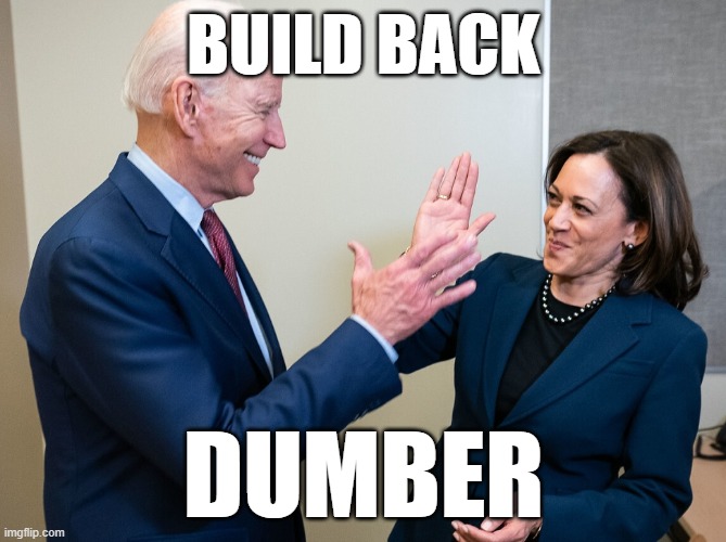 Biden Harris Failure | BUILD BACK; DUMBER | image tagged in biden harris failure | made w/ Imgflip meme maker