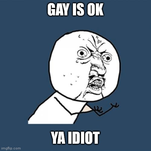 Y U No Meme | GAY IS OK YA IDIOT | image tagged in memes,y u no | made w/ Imgflip meme maker